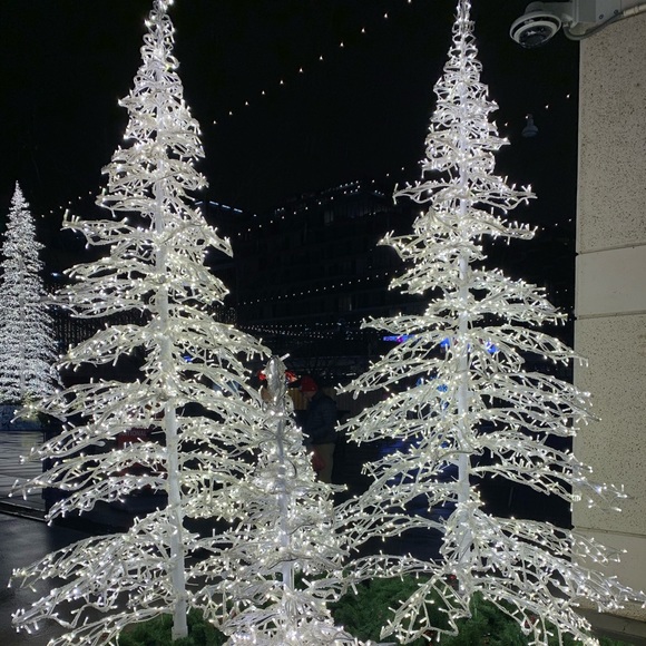 Meet your Posher, Danielle - Picture 9 of 10